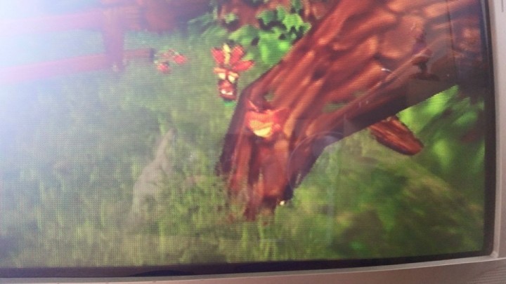 Crash Decides To Quit Adventuring And Become One With Nature. (Excuse The Cellphone Screenshot)